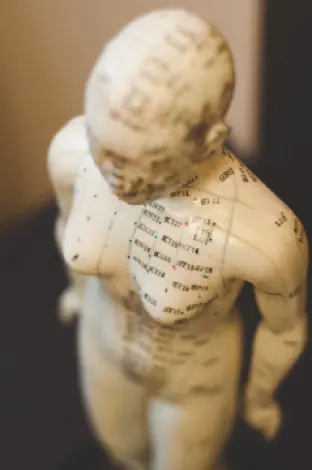 almedica_dr_eliza_wajdi