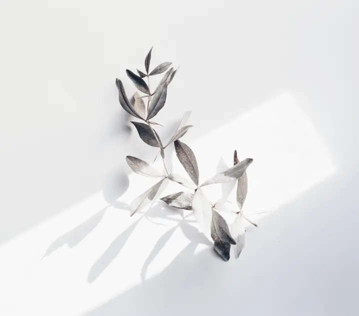 pexels-cottonbro-studio-5493925 1