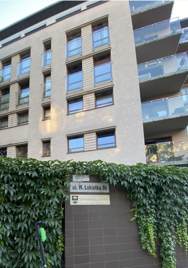 pexels-cottonbro-studio-5486105